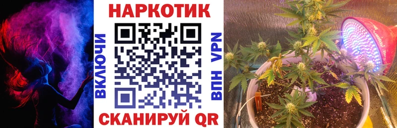 МЕФ Элиста