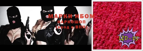 прущие грибы Заводоуковск