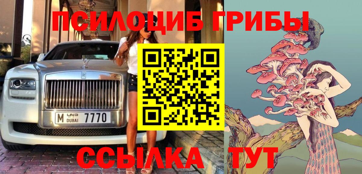 Элиста  Псилоцибиновые грибы ЛСД  Вход с VPN  Псилоцибиновые грибы Magic Shrooms 